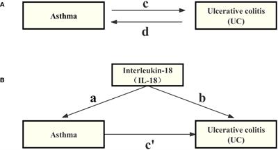 Causal relationship between asthma and ulcerative colitis and the mediating role of interleukin-18: a bidirectional Mendelian study and mediation analysis